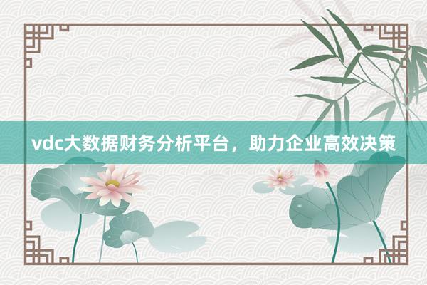 vdc大数据财务分析平台，助力企业高效决策