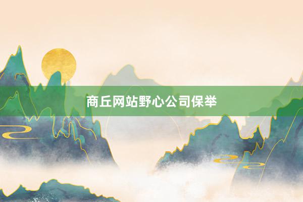 商丘网站野心公司保举