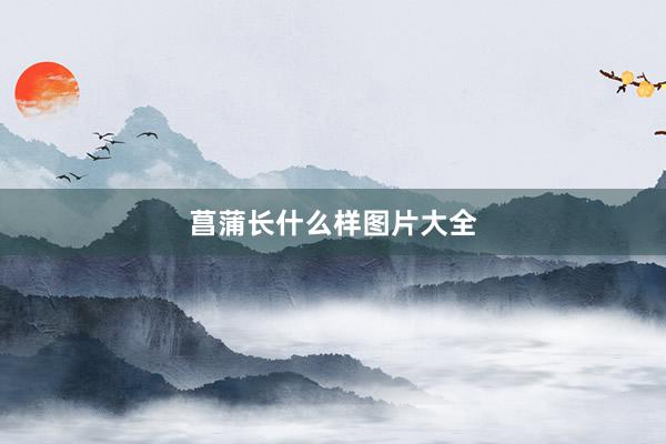 菖蒲长什么样图片大全