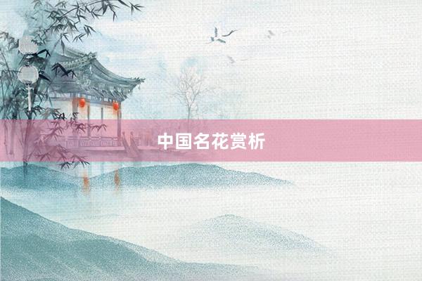 中国名花赏析