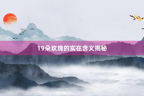 19朵玫瑰的实在含义揭秘