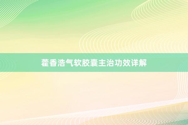 藿香浩气软胶囊主治功效详解